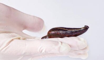 Leech cream to enhance the experts