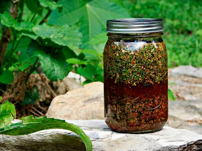 Decoction of wormwood will help increase the size of the male genital organs