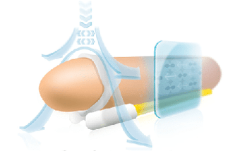 The operating principle of an extender for stretching the long phallus